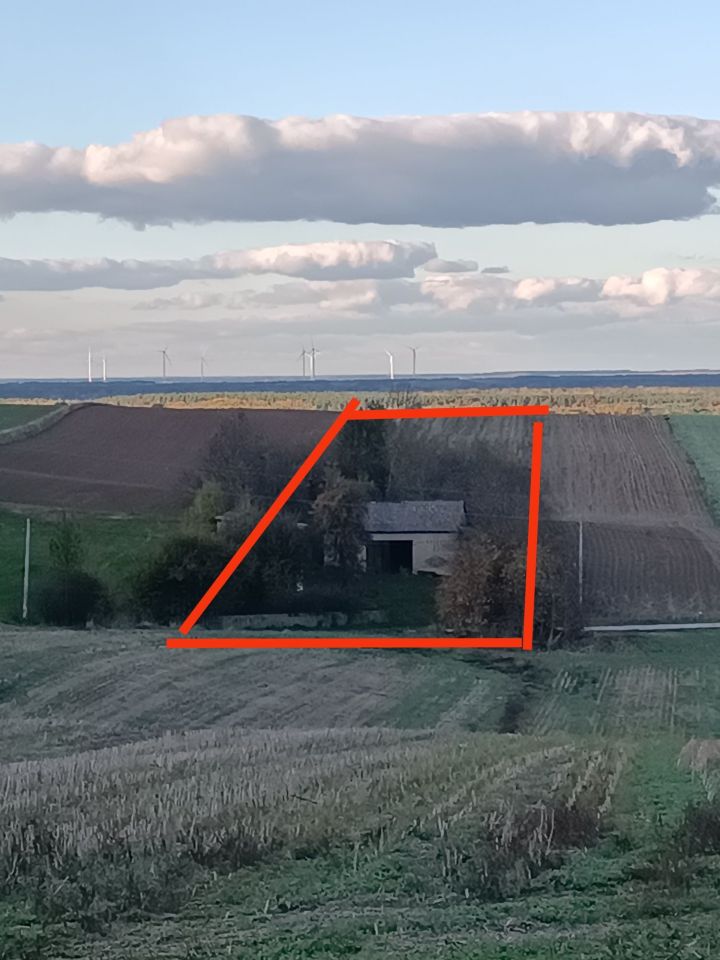 Działka rolno-budowlana Dąbrowno. Zdjęcie 2