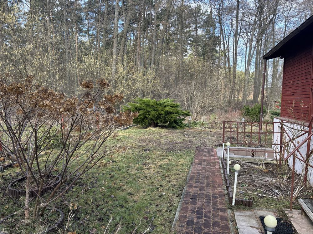 Działka rod Włocławek. Zdjęcie 5