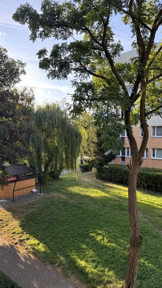 Mieszkanie 1-pokojowe Jelenia Góra Zabobrze, ul. Ludomira Różyckiego. Zdjęcie 13