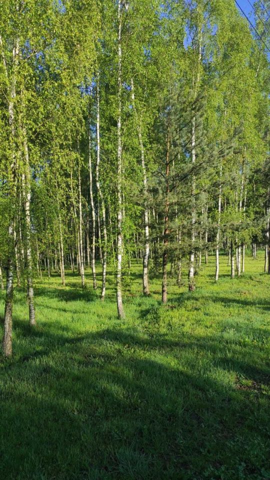 Grund, 1000 m²