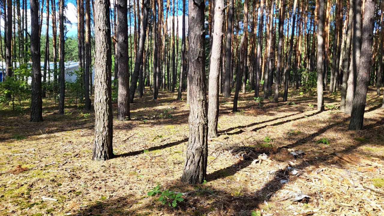 Działka Michałów. Zdjęcie 4