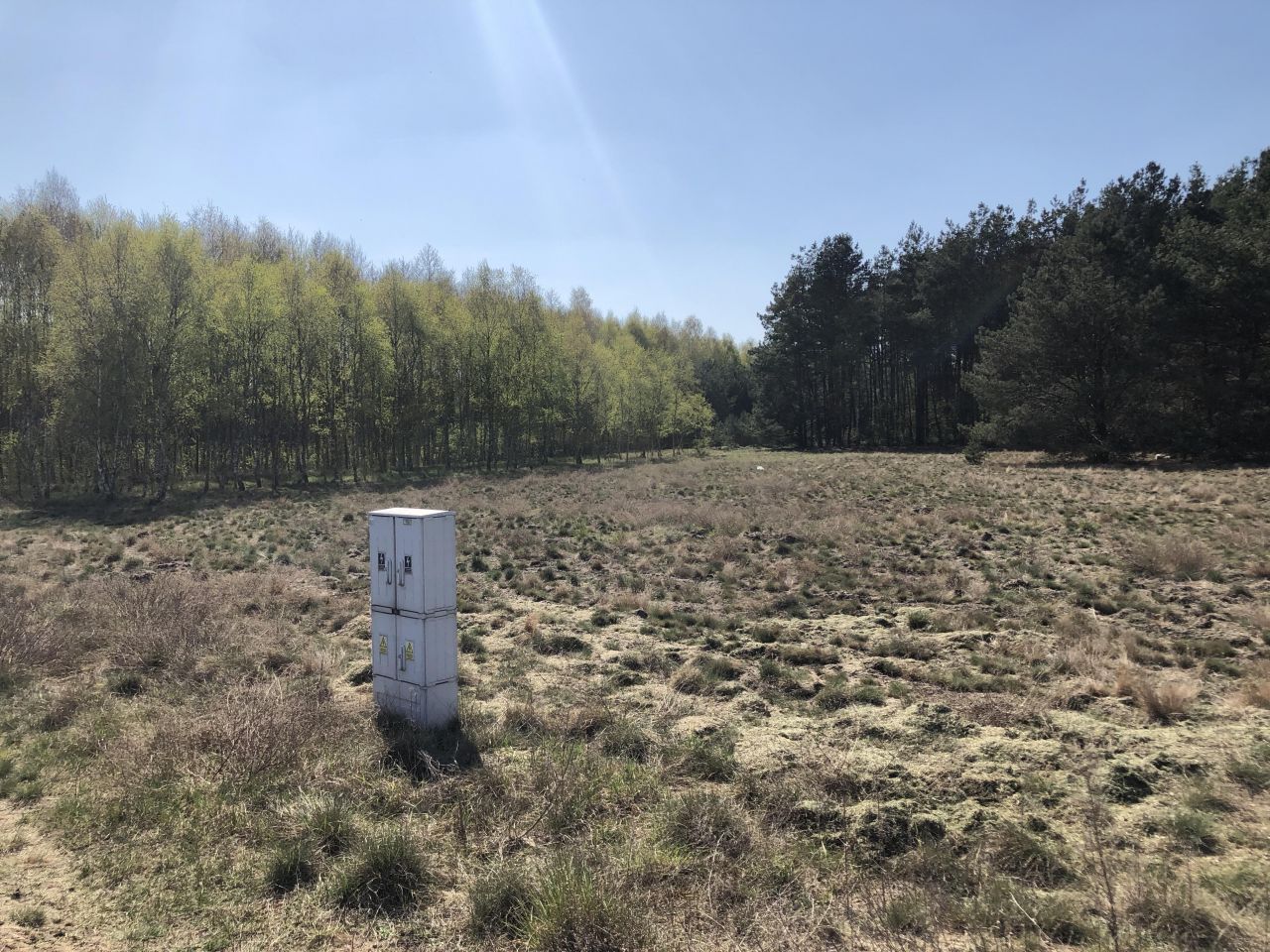 Działka budowlana Rynarzewo, ul. Powstańców Wielkopolskich. Zdjęcie 4