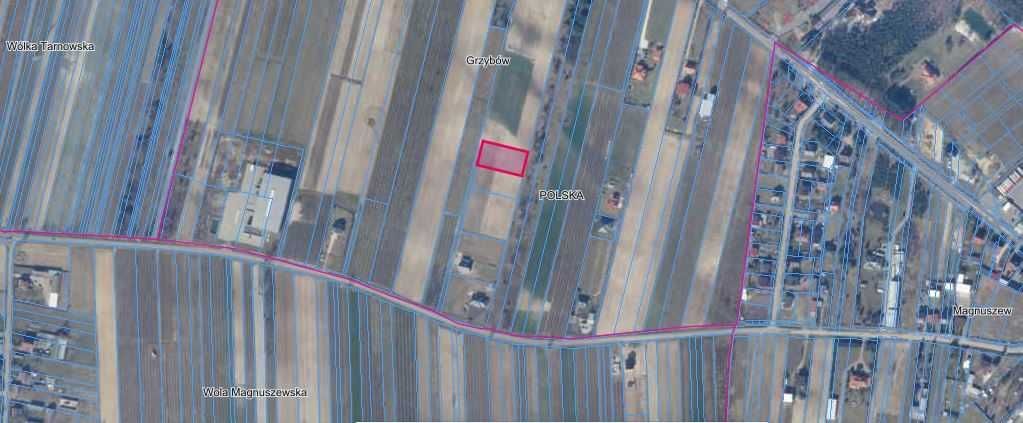 Działka budowlana Grzybów Nowy Grzybów. Zdjęcie 2