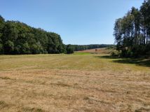 Działka rolna Pakawie. Zdjęcie 4