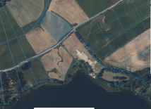 Działka rolna Dobra Wola. Zdjęcie 4