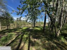 Działka leśna Wilków Polski. Zdjęcie 4