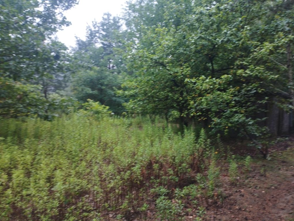 Działka budowlana Mieszkowo. Zdjęcie 7