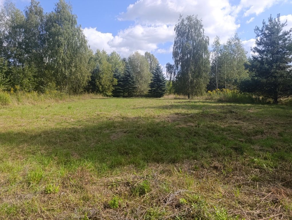 Działka budowlana Anielew. Zdjęcie 2