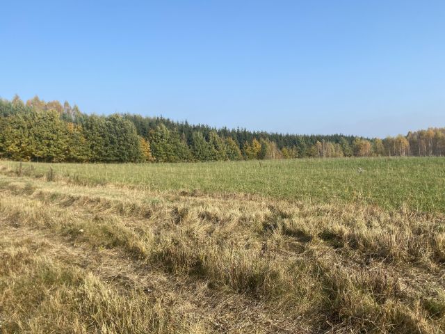 Działka budowlana Gady. Zdjęcie 1