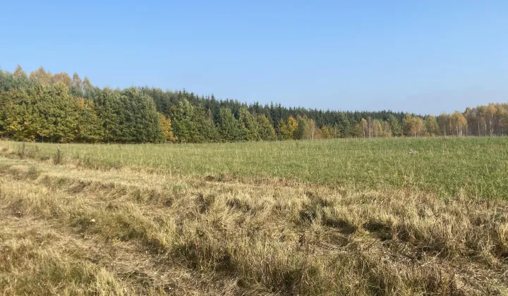 Działka budowlana Gady