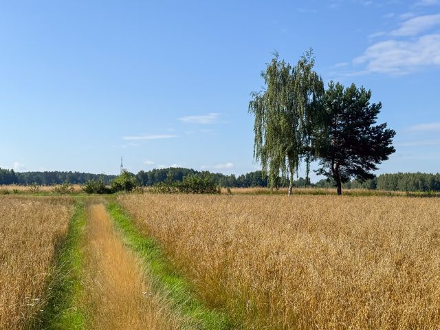 Działka budowlana Rudzienko. Zdjęcie 3