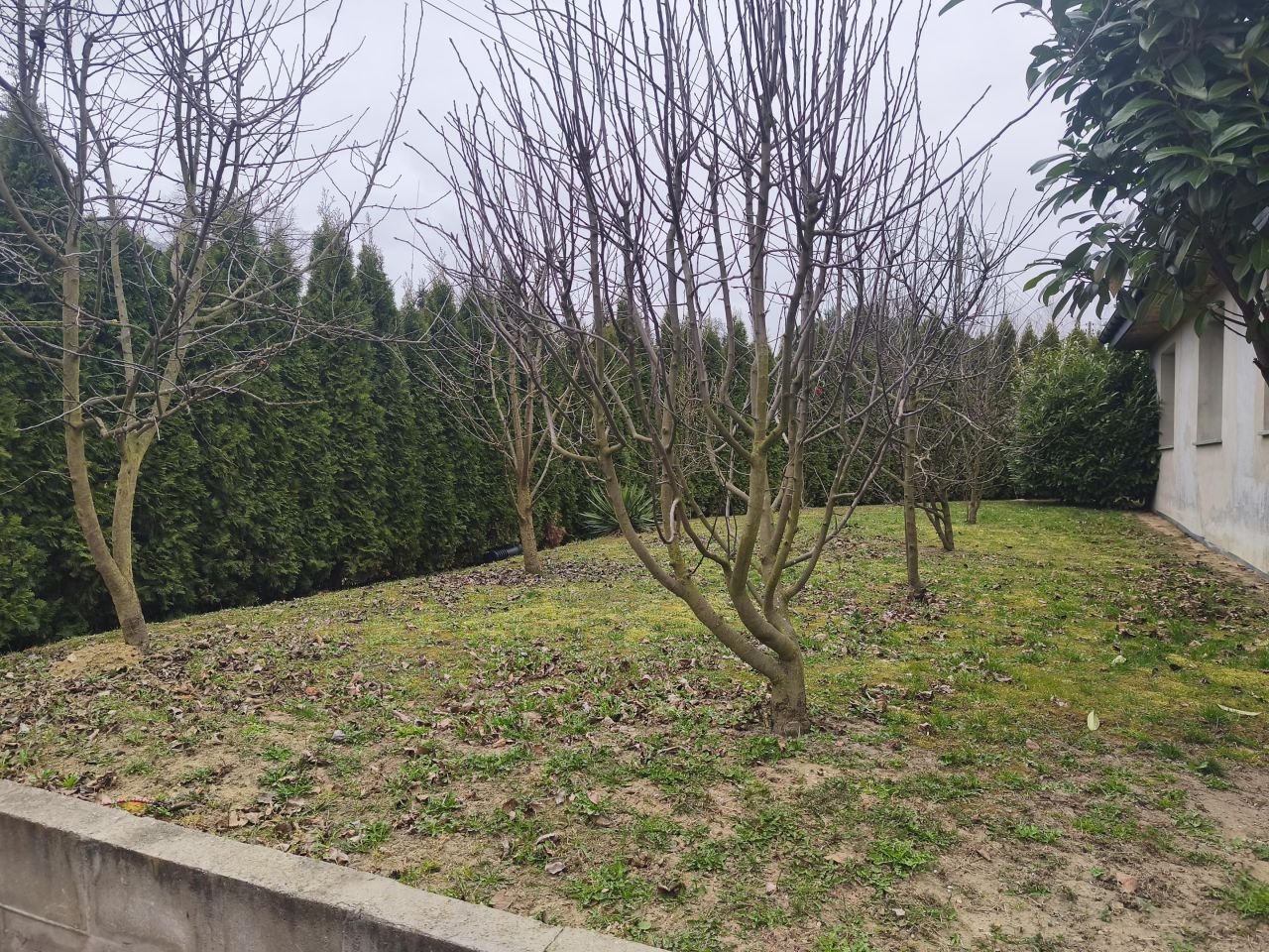 dom wolnostojący, 4 pokoje Pogalewo Wielkie. Zdjęcie 46