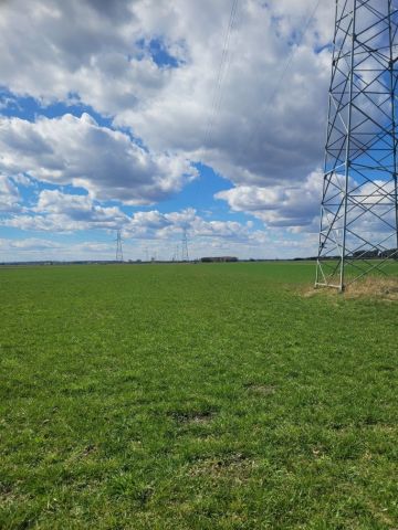 Działka rolna Kosorowice. Zdjęcie 1