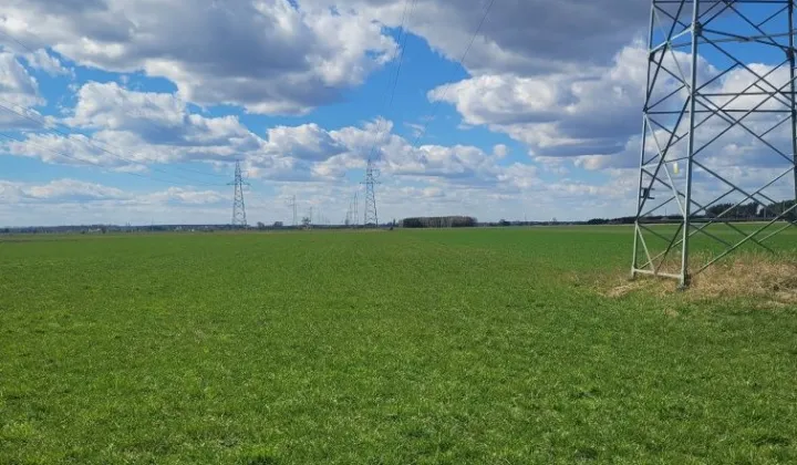 Działka rolna Kosorowice