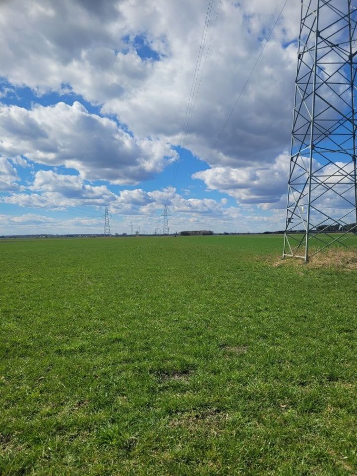 Działka rolna Kosorowice. Zdjęcie 1