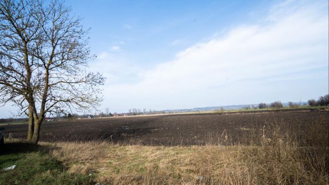 Działka rolna Węzina. Zdjęcie 7