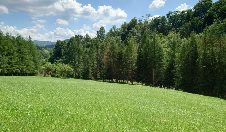 Działka budowlana Bóbrka
