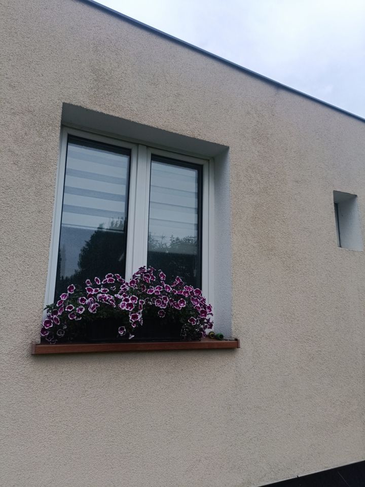 Działka rekreacyjna Bydgoszcz Prądy, ul. Lisia. Zdjęcie 23