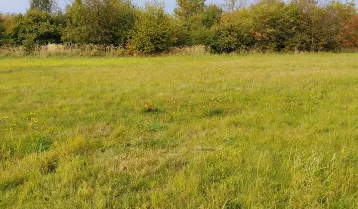 Działka budowlana Piece, ul. Radoszowska
