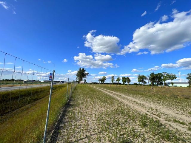 Działka inwestycyjna Mława. Zdjęcie 2