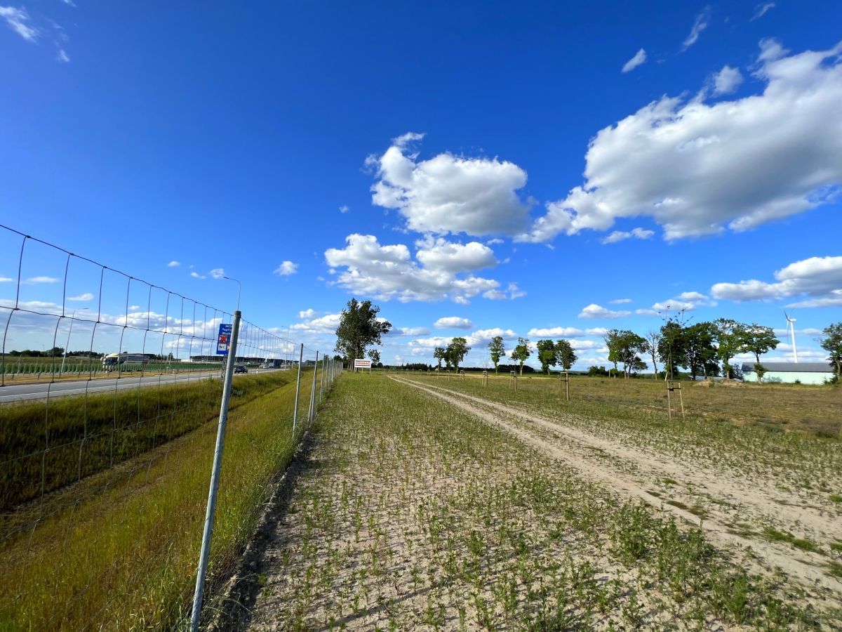 Działka inwestycyjna Mława. Zdjęcie 2