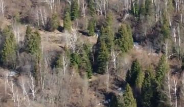 Działka budowlana Strzebowiska