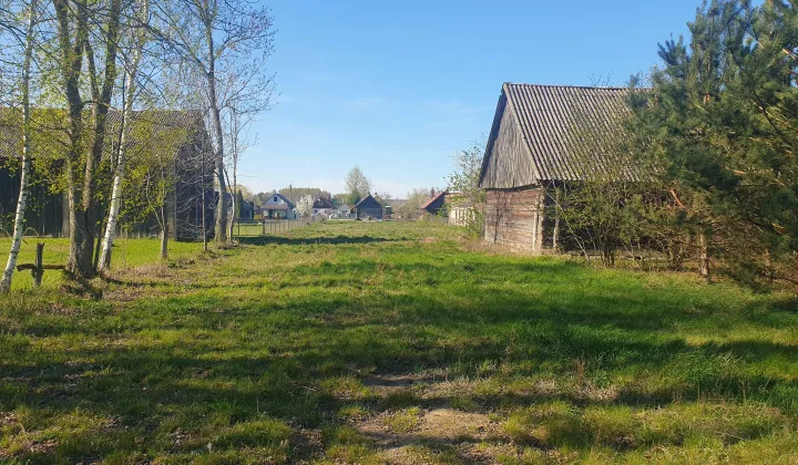 Działka siedliskowa Orla