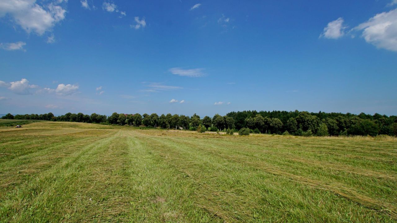 Działka inwestycyjna Łęcze. Zdjęcie 6