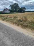 Działka rolna Trzebawie. Zdjęcie 1