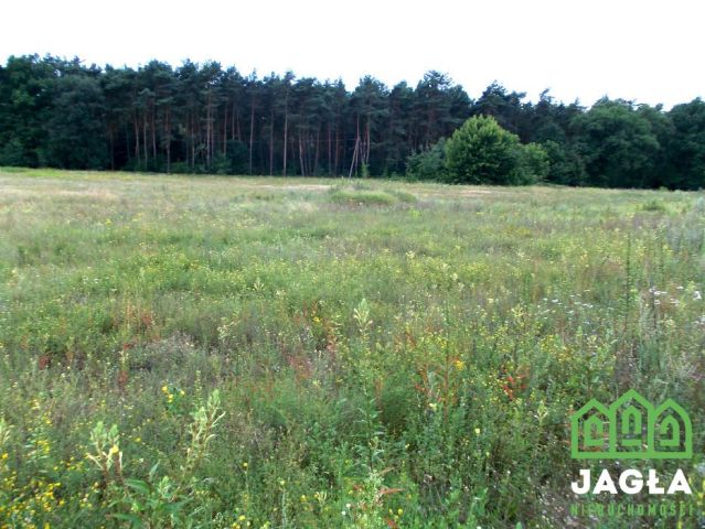 Działka rolna Bydgoszcz, ul. Bydgoskiego Batalionu Obrony Narodowej. Zdjęcie 3