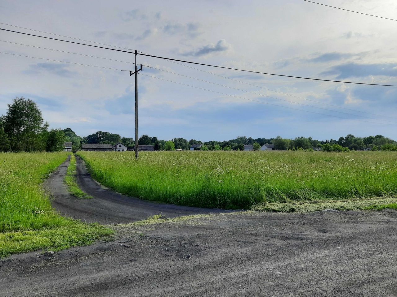 Działka rolno-budowlana Żwirówka. Zdjęcie 6