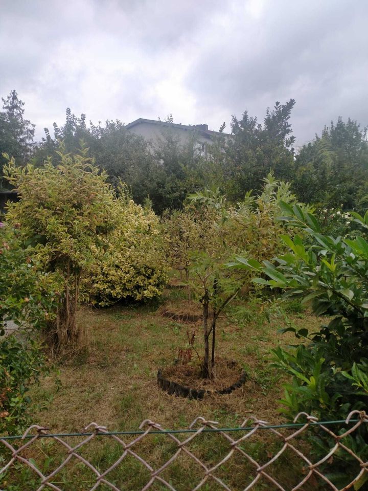 Działka rod Tarnowskie Góry, ul. Opolska. Zdjęcie 2