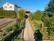 Działka rod Lublin. Zdjęcie 1