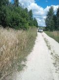 Działka rolna Grodzisko. Zdjęcie 3