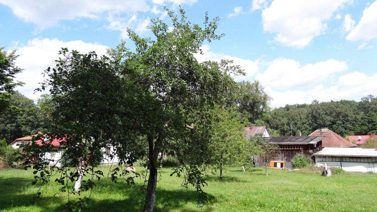 dom wolnostojący, 3 pokoje Osola, ul. Leśna. Zdjęcie 12