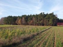 Działka budowlana Radziki Duże. Zdjęcie 3