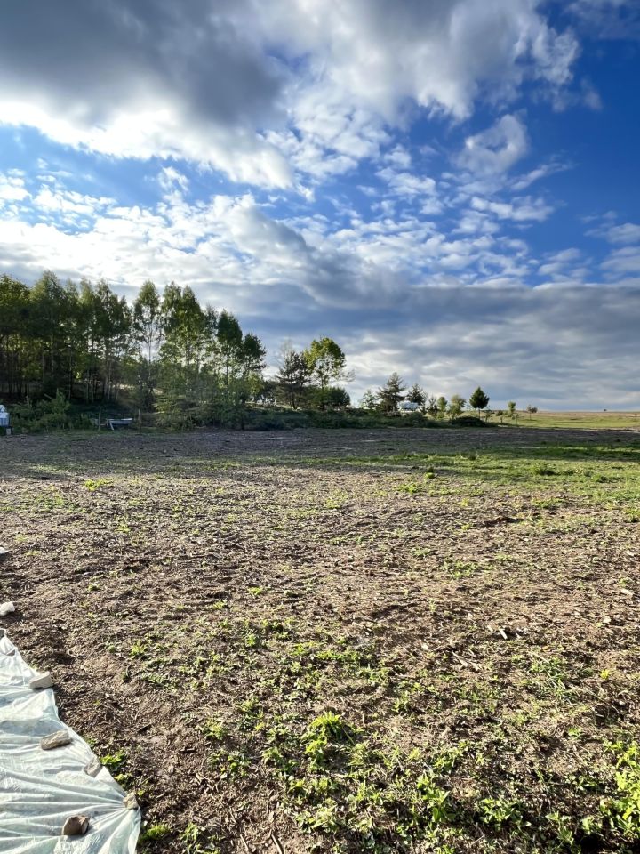 Działka budowlana Oleszno, ul. Szkolna. Zdjęcie 3