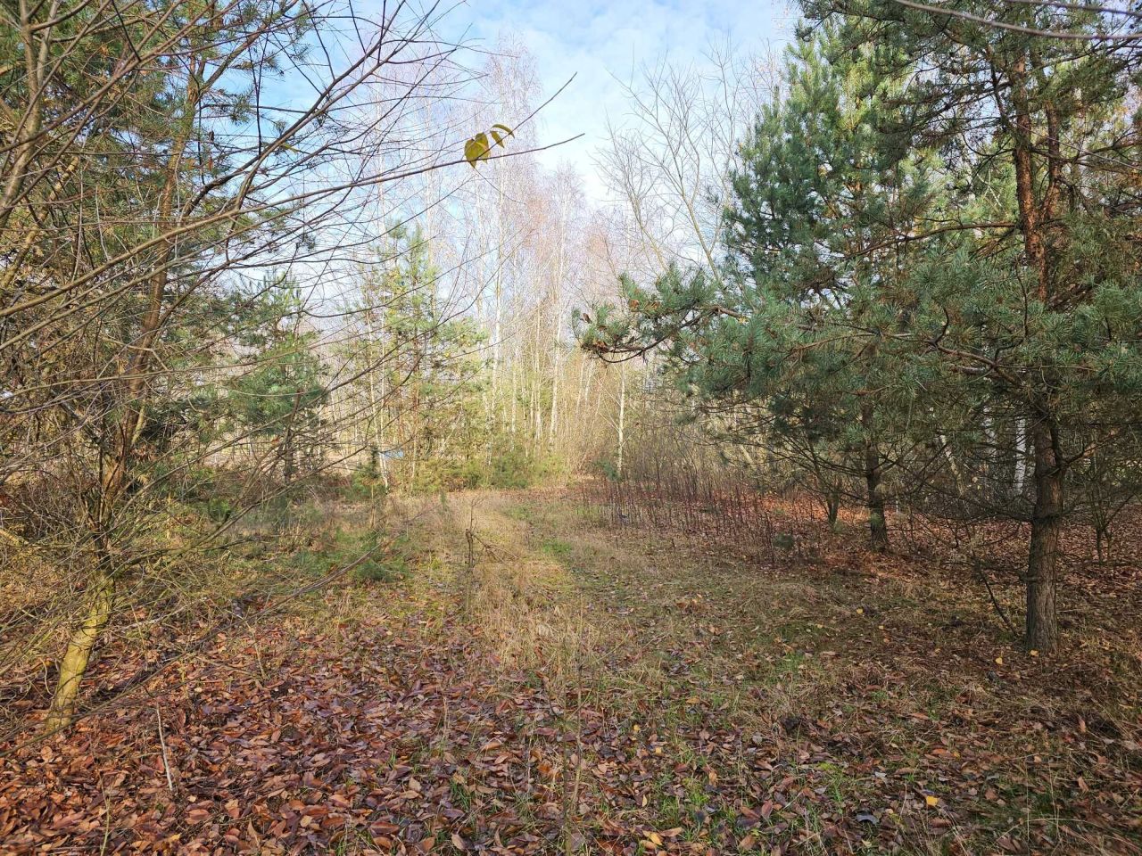 Działka rolna Ponurzyca. Zdjęcie 4