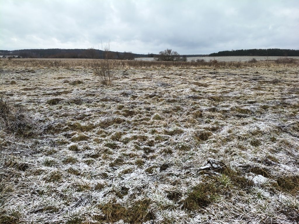 Działka budowlana Marcinowice, ul. Leśna. Zdjęcie 6