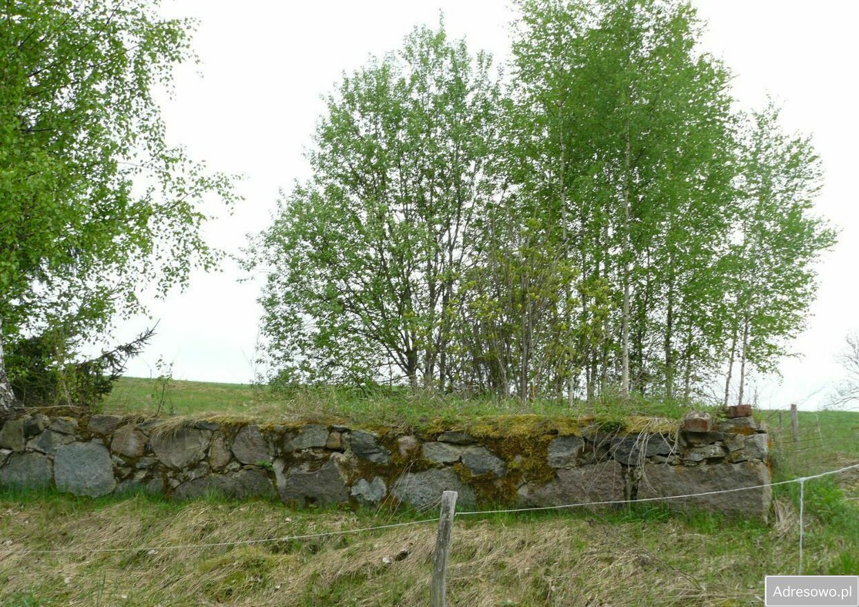 Działka siedliskowa Wólka. Zdjęcie 10