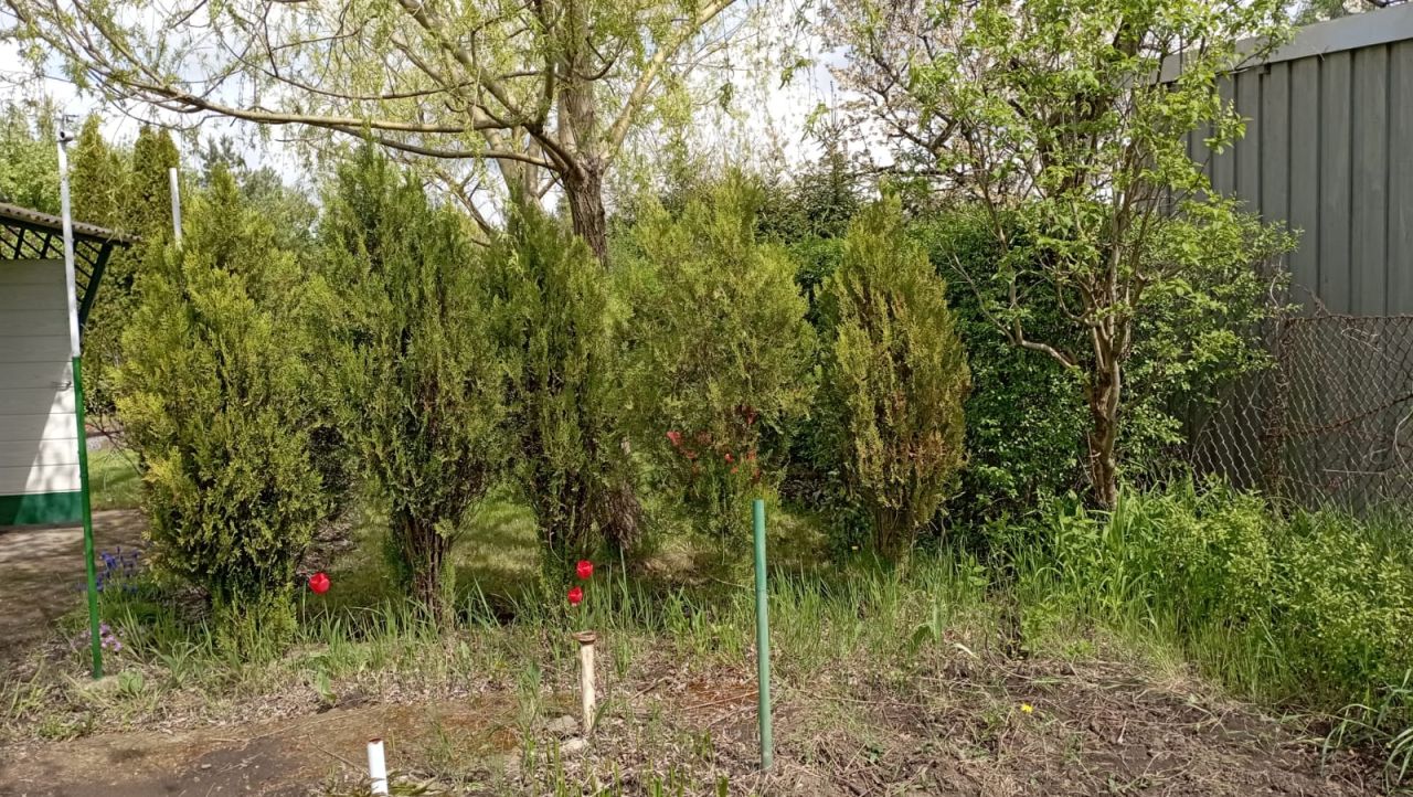 Działka rod Wrocław Osobowice, ul. Paprotna. Zdjęcie 8