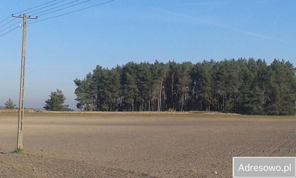 Działka leśna Bliżyce. Zdjęcie 3