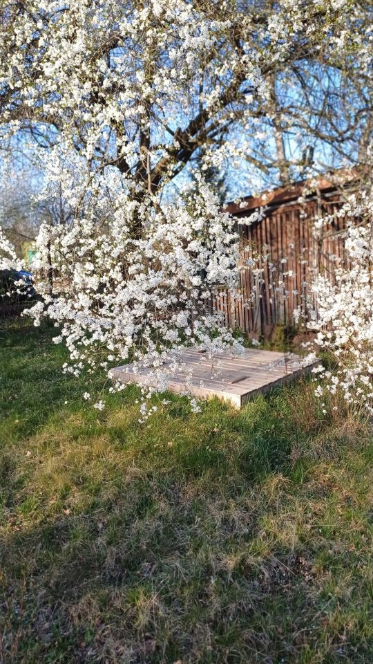 Działka rod Wrocław Psie Pole, ul. Obornicka. Zdjęcie 3