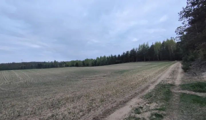 Działka rolno-budowlana Graniczna Wieś, ul. Jarzębinowa