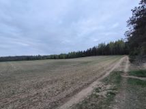 Działka rolno-budowlana Graniczna Wieś, ul. Jarzębinowa