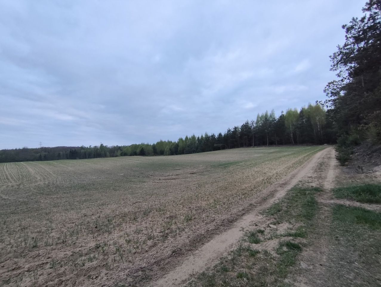 Działka rolno-budowlana Graniczna Wieś, ul. Jarzębinowa