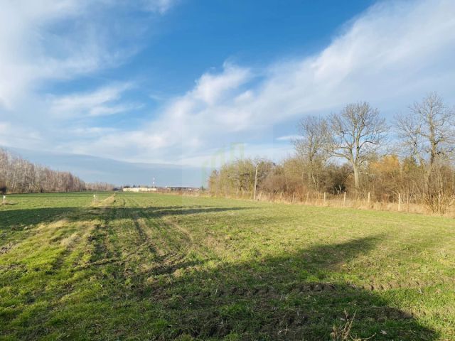 Działka budowlana Dębówka. Zdjęcie 9