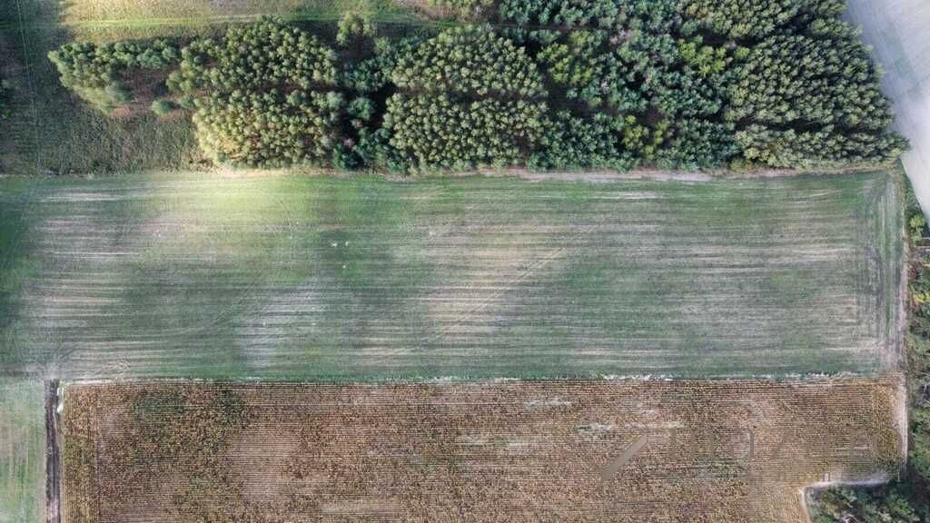 Działka rolna Józefinka. Zdjęcie 7