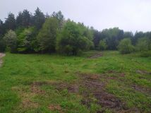 Działka Trzepieciny. Zdjęcie 2