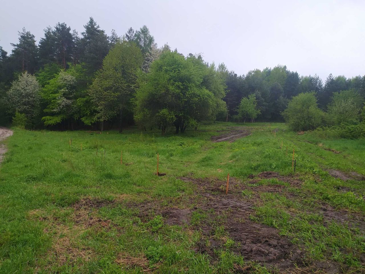 Działka Trzepieciny. Zdjęcie 3